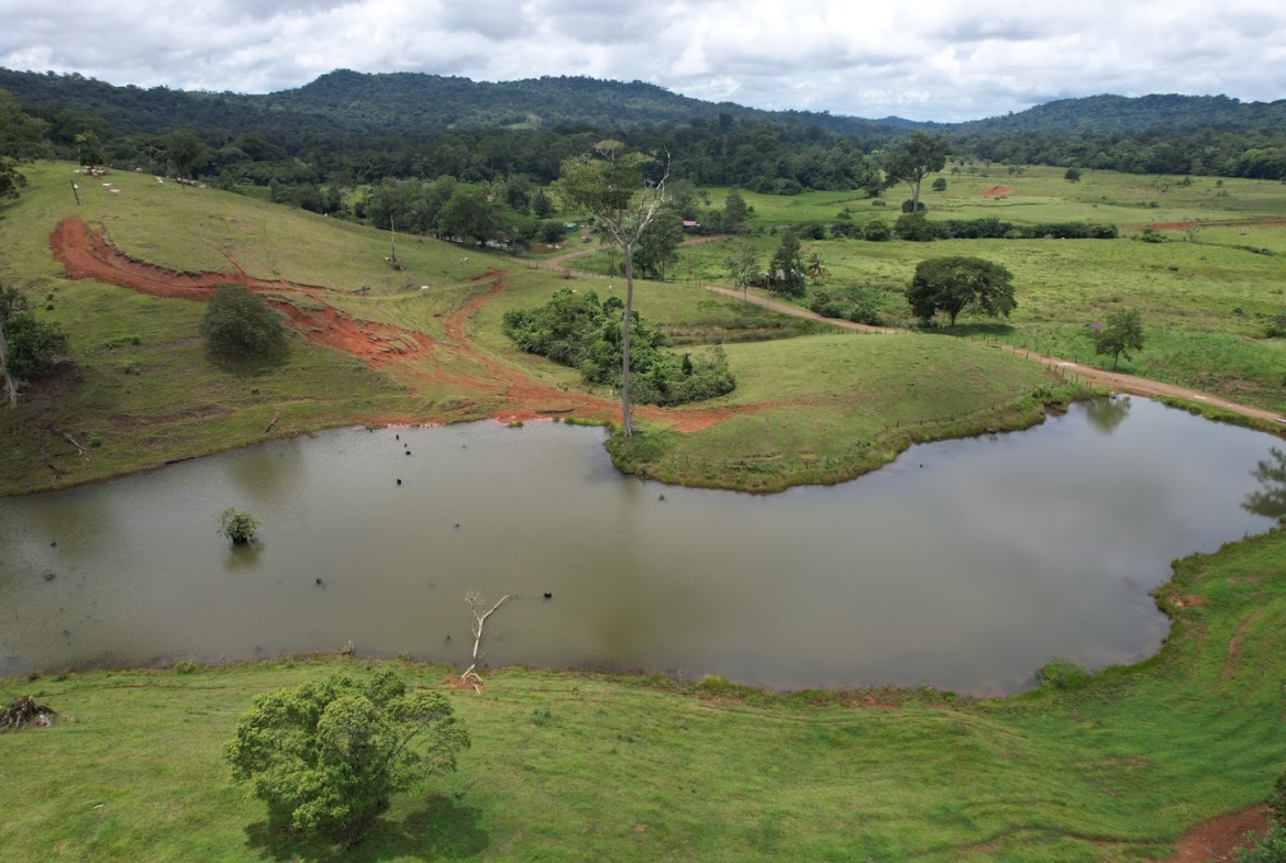 Fincas de Costa Rica